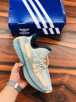Adidas yeezy boost 350 v2.0 shoes for men