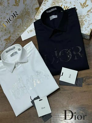 Dior luxury original quality 2024 in store shirt collection