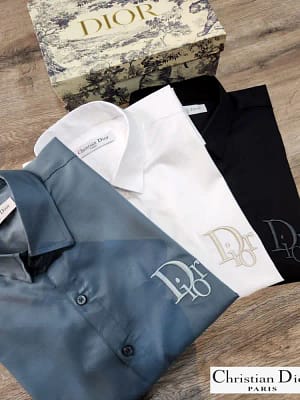 Dior luxury original quality 2024 in store shirt collection